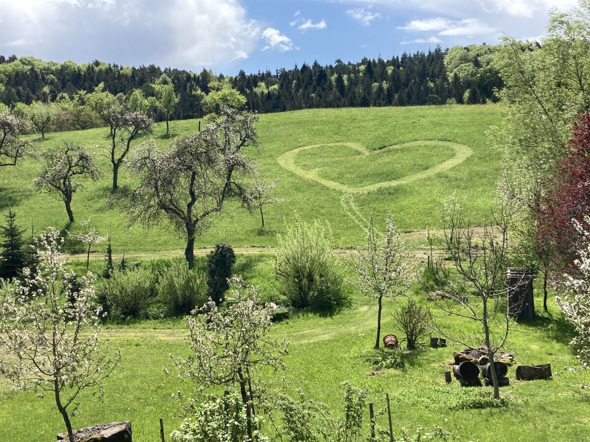 Blick vom Wohnzimmer aus