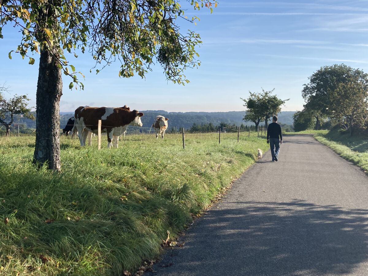 Wanderwege direkt ab Haus