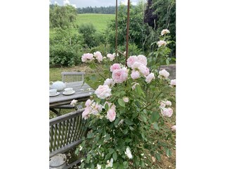 Holiday apartment Mainhardt Outdoor Recording 20