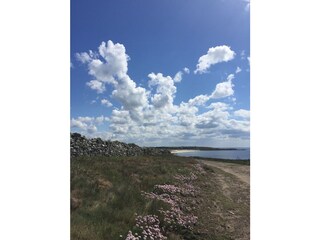 Casa de vacaciones Cléden-Cap-Sizun Entorno 21