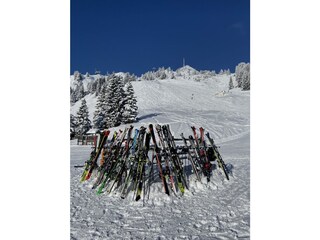 Chalet Ehenbichl Ambiente 20