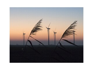 Abendstille