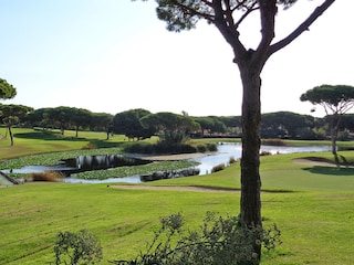 Golf course