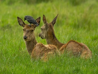 Landhaus Vitray Umgebung 33