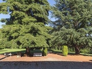 Casa de campo Vitray Grabación al aire libre 5