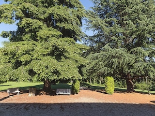 Landhaus Vitray Außenaufnahme 3