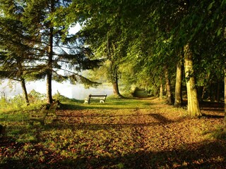 Cottage Vitray Environment 31