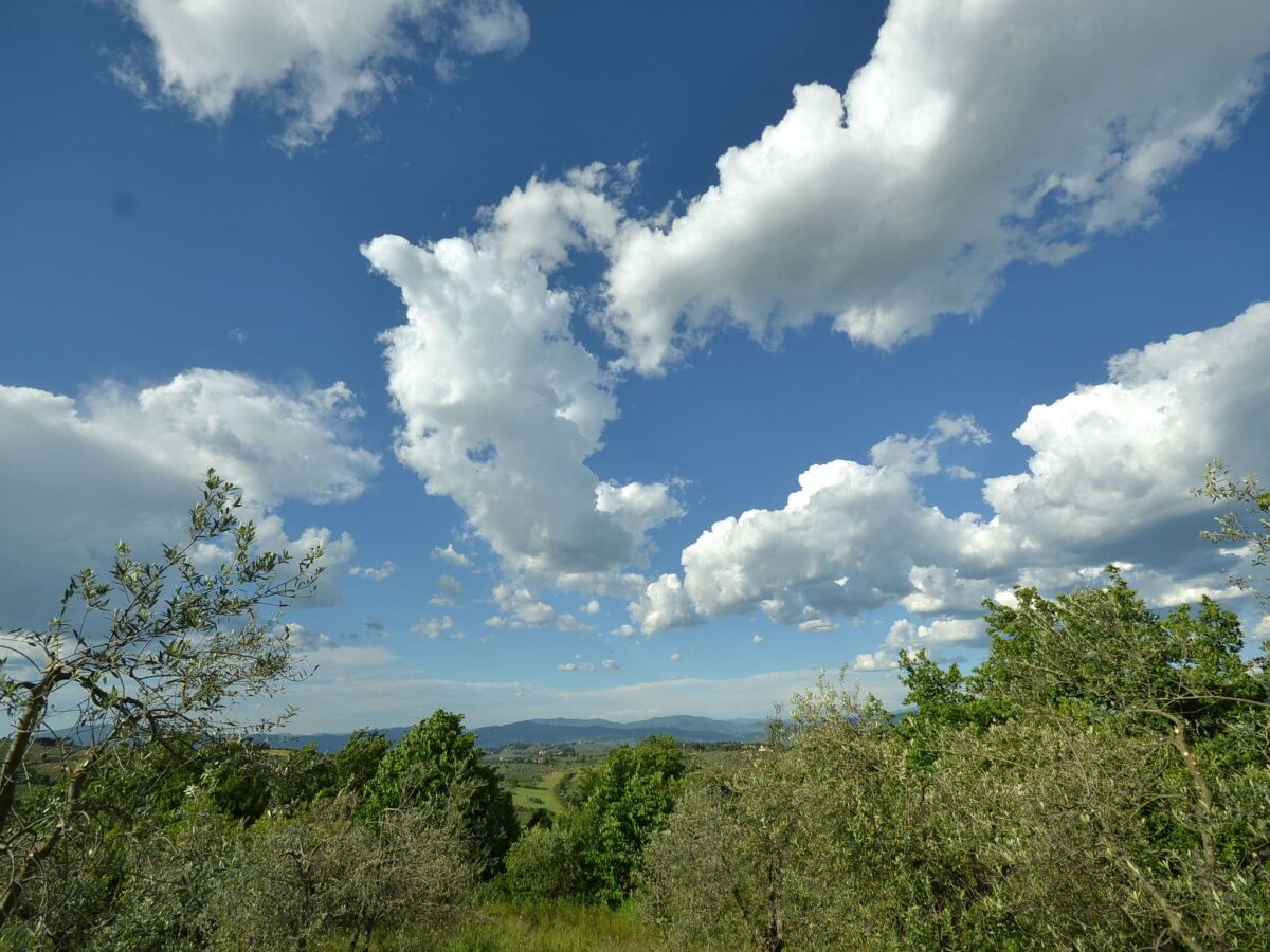 Ferienhaus Strada in Chianti Umgebung 21