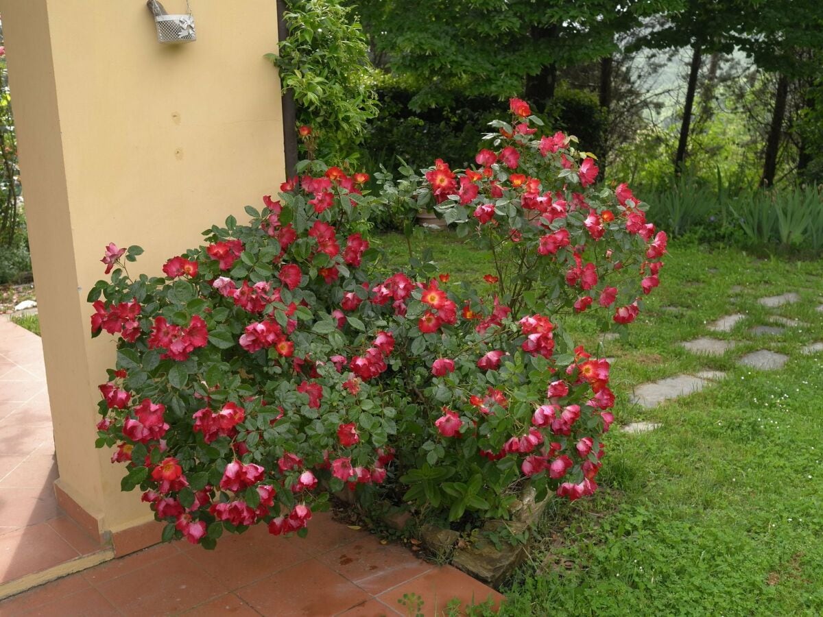 Ferienhaus Strada in Chianti  23