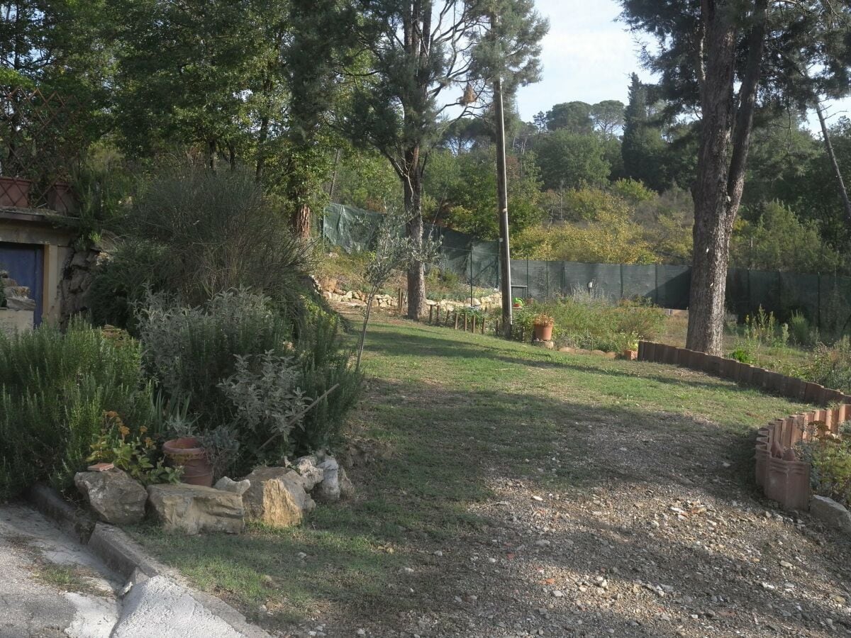 Ferienhaus Strada in Chianti Außenaufnahme 4