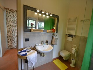 Holiday house Strada in Chianti Features 21
