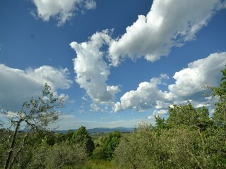 Holiday house Strada in Chianti Environment 22