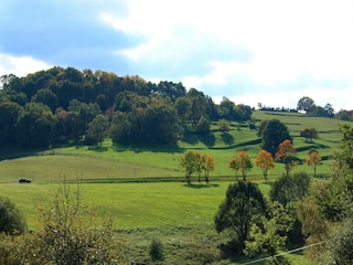 Ferienhaus Emsetal Außenaufnahme 1