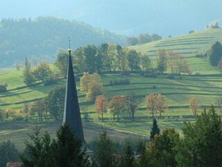 Ferienhaus Emsetal Umgebung 32