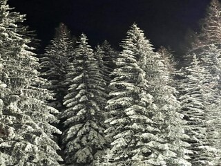 Appartamento Marsberg Ambiente 17