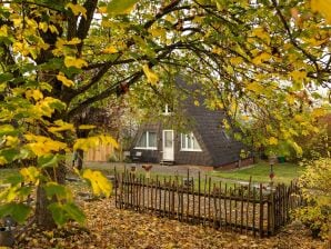 Maison de vacances confortable à Bestwig avec jardin privé - Meilleure perruque - image1