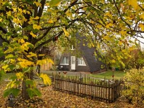 Vakantiehuis in Bestwig met eigen tuin - Beste pruik - image1