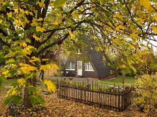 Holiday house Bestwig Outdoor Recording 2