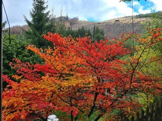 Maison de vacances Bestwig Environnement 20