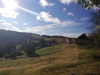 Ferienhaus Bestwig Umgebung 22