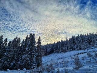 Vakantiehuis Bestwig Omgeving 31