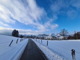 Casa de vacaciones Bestwig Entorno 21