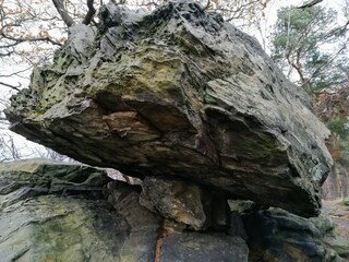 Apartamento Blankenburg Entorno 20