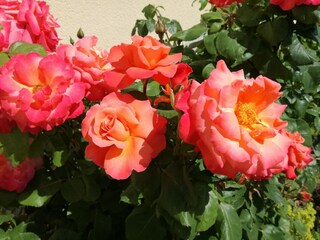 Appartamento Blankenburg  38