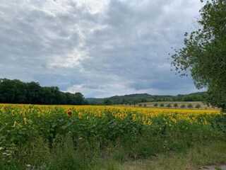 Appartement Blankenburg Omgeving 18
