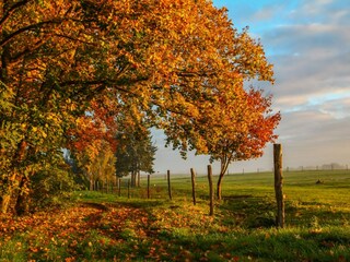 Auch der Herbst ist hier wunderschön