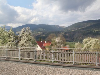 Appartamento per vacanze Tröpolach Registrazione all'aperto 6