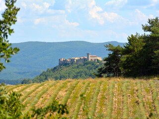 Villa Viens Buitenaudio-opname 8