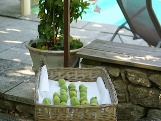 Villa Viens  37