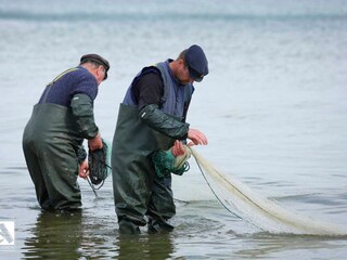 Fischer bei der Arbeit