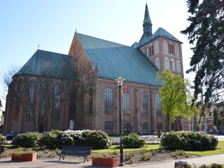 Holiday house Dźwirzyno Environment 23