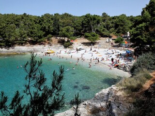 Casa per le vacanze Loborika Ambiente 19