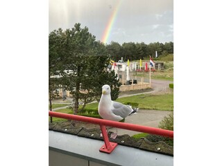 Appartamento per vacanze Buren Registrazione all'aperto 11