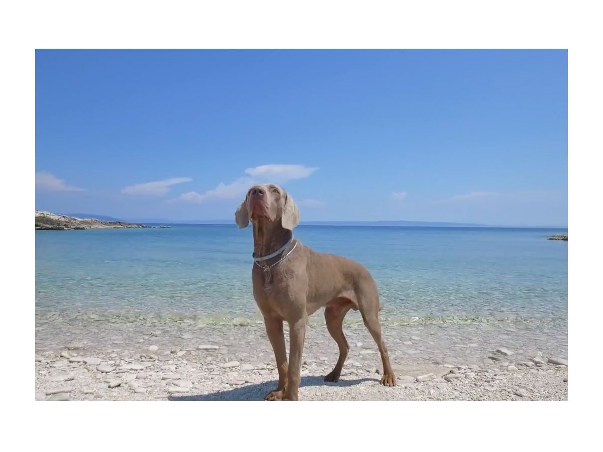 Ferienhaus Ruhe & Erholung, Pula, Frau Lana Raos