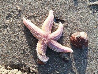 Casa per le vacanze Oostkapelle Ambiente 15