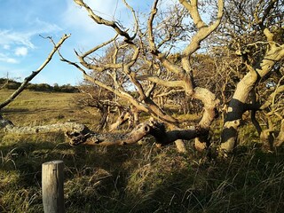 Casa per le vacanze Oostkapelle Ambiente 19