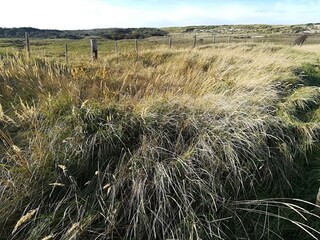 Casa per le vacanze Oostkapelle Ambiente 20