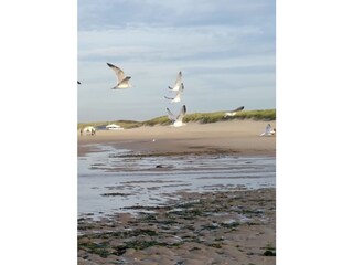 Casa per le vacanze Oostkapelle Ambiente 16