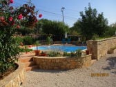 Pool with garden