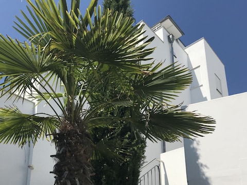 Ferienwohnung SEERose