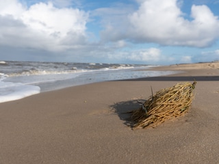 Strandgut