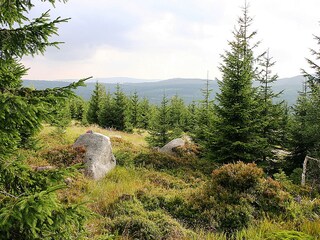 Refugio alpino Polubný Entorno 13
