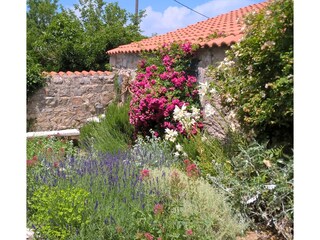 Cottage Hvar (Stadt) Outdoor Recording 8