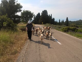 Casale Hvar (Stadt) Ambiente 27