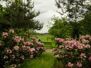 Vakantiehuis Deurningen Buitenaudio-opname 2