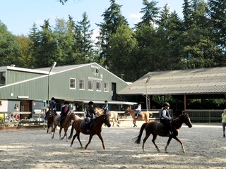 Reiten Hulsbeek